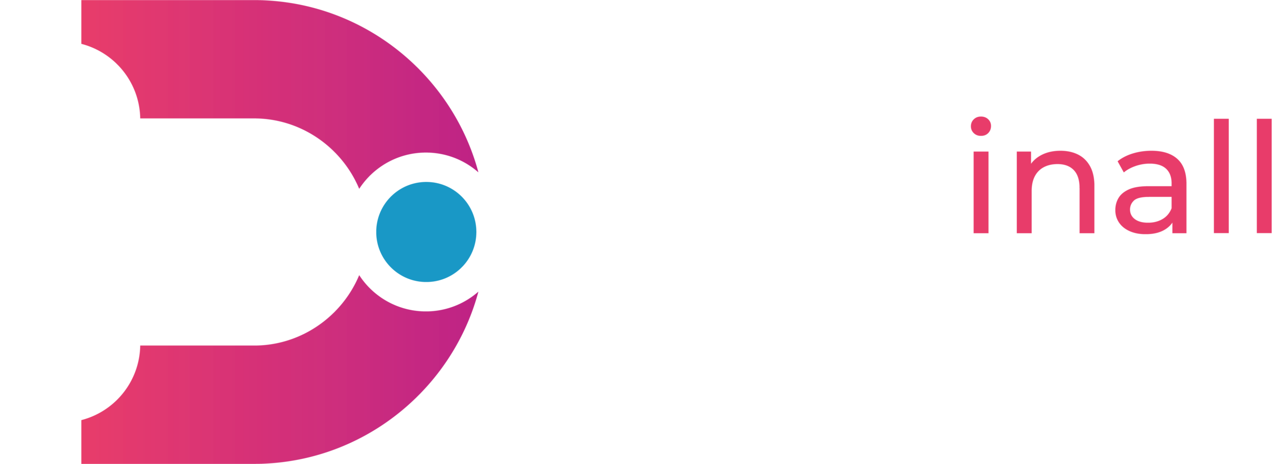 Professional Website Design - Deepinall Logo Full Horizontal White Professional Website Design